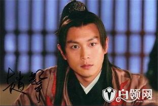 公磊最新电视剧爆料,悬疑剧情引期待，角色命运再掀波澜